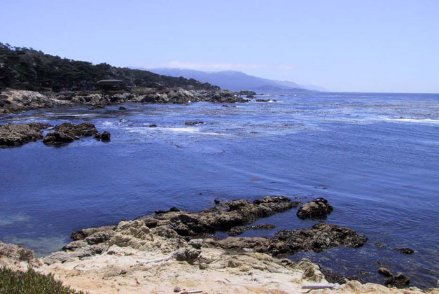 12_On_17mile_Drive