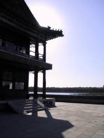 Summer_LightandShadow