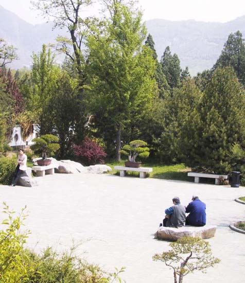 09_Resting_by_Bonsai