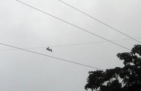 10_zipline
