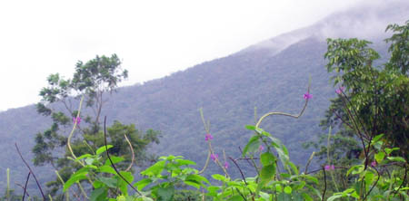 08_volcano_arenal