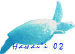 Hawai'i 02