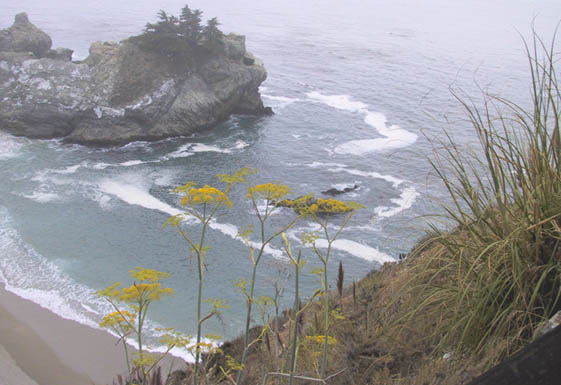 05_Flowers_on_the_Cliff