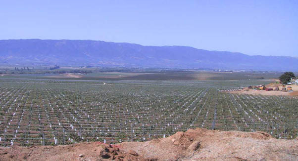 15_Valley_Vineyards