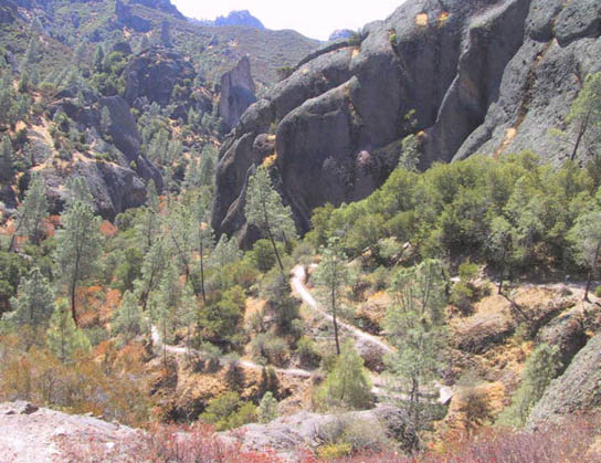 19_Rocks_Bushes_Trees