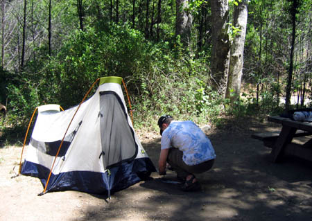 01_camping_ponderosa