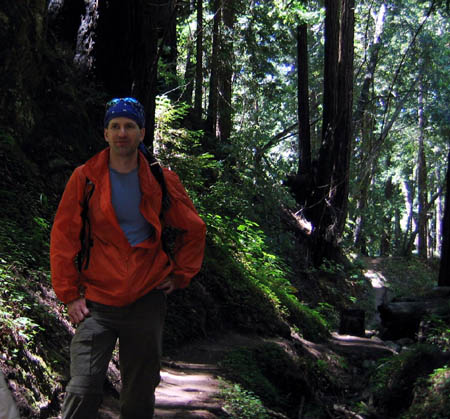 13_trail_in_the_woods