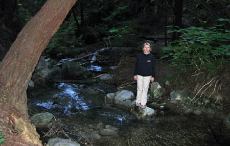 23_anna_crossing_creek