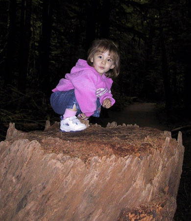 05_Tree_Stump_with_Baby