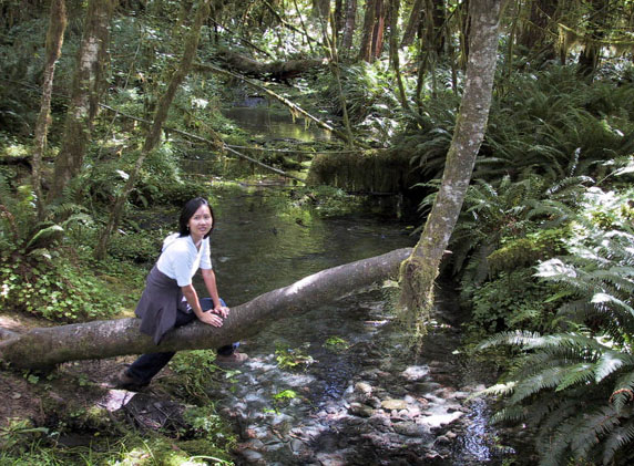 06_Rainforest_Monkey