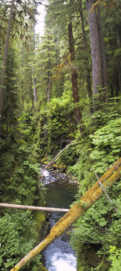 08_Sol_Duc_River