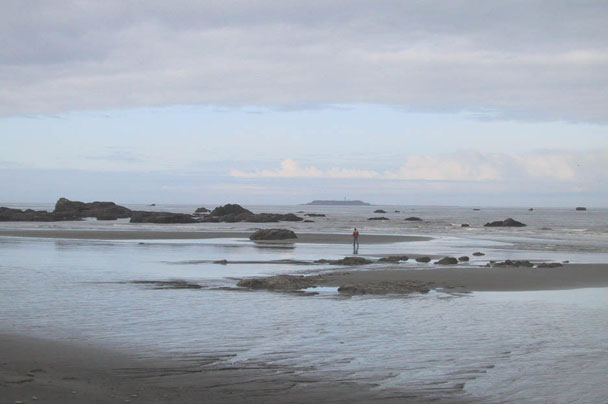 09_Wandering_on_Ruby_Beach