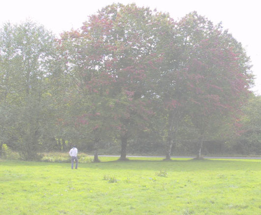 10_Early_Fall_Colour