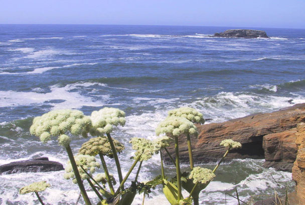 14_Devils_on_Vacation