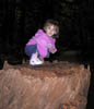 05_Tree_Stump_with_Baby