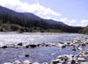 06_River_Hoh