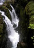 08_Sol_Duc_Falls