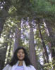 18_Jean_and_Redwoods