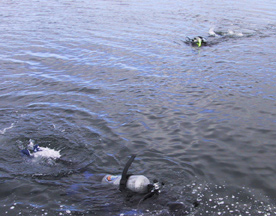 Divers
